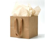 Aosric Brown Gift Bags with Tissue Paper, 2 Pack 10x10x10 In Square Reusable Thick Paper Bags for Christmas, Halloween Treats, Wedding, Baby Shower, Birthday Party Favor, Return Gifts