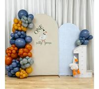 AOSTO One Silly Goose 2-Piece Arch Backdrop Set - Beige & Blue Gingham 1st Birthday Party Decor, Cute Goose Theme Dessert Table Background for Baby Boy/Girl First Birthday Celebrations (7.2ft & 6ft)