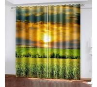 Aotiwe Sliding Door Curtains Rustic, Curtain Panel Set Yellow Green Lawn and Sunset Landscape Polyester 2 Panels 120x108inch