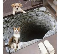 Aoukp 3D Hole Rug, Optical Illusion Rug Hole, Dog Gets Scared of 3D Carpet, Optical Illusion Rugs, Rugs That Looks Like a Holes (#A,60 * 90cm/23.62 * 35.43in)