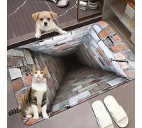 Aoukp 3D Hole Rug, Optical Illusion Rug Hole, Dog Gets Scared of 3D Carpet, Optical Illusion Rugs, Rugs That Looks Like a Holes (#B,80 * 120cm/31.5 * 47.24in)