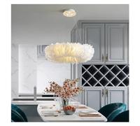 Aouoeeo Chandelier ceiling light for dining roomchandelier nordic feather pendant lamps for marriage