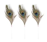 AOVNA 3 Pieces Ear Pick Peacock Feather Ear Care Supplies Ear Clean Tool Ear Cleaner