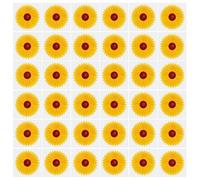 AOVNA 36 Pieces Floral Window Fly Traps Catcher Stickers Sunflower Double Side Insect Pest Attractor and Eliminator for Indoor Outdoor Kitchen Garden Houseplant Flying Bug Insect(10×10×1cm）