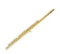 AOWINHIT 16 Keys C Flute Professional Closed Hole Cupronickel Flute Instrument with Split E Key Ergonomic Design for Beginner Student Adult Orchestra Performance Gold