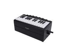 AOWINHIT Desk Calendar with 25 Keys Containing 52 Worldwide Famous Songs, 8 Instrument Modes, Battery, Perfect Gift Set for Music Lovers, ABS Material (Black)