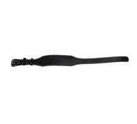 AOWINHIT Weightlifting Belt for Powerlifting Stabilization and Gym (L)