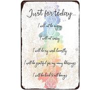 AOWOTU Just for Today I Will Not Be Angry Life Principles Reiki Chakra Healing Yoga Zen Room Retro Tin Sign Vintage Art Home Bar Garage Cafe Shop Wall Decor Metal Plaque 8x12 Inch