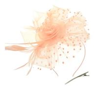 AOWVUTS Fascinators Hat Flower Mesh Ribbons Veil Feathers on a Headband and a Clip Elegant Bridal Headpiece Cocktail Tea Party Wedding Prom Headwear for Girls and Women