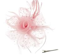 AOWVUTS Fascinators Hat Flower Mesh Ribbons Veil Feathers on a Headband and a Clip Elegant Bridal Headpiece Cocktail Tea Party Wedding Prom Headwear for Girls and Women