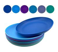AOYITE 8 inch Plastic Plates Reusable, Unbreakable Plastic Dinner Plates set of 6, BPA Free Dishwasher Safe & Microwave Kids Plate for Kitchen Lunch Party Outdoor