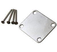 AP-0600-007 Aged Chrome Neckplate