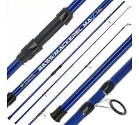 AP Bass/Mackerel Spinning Rod 10ft 2pc Pollack Shore Sea Fishing Lure Rod Blue