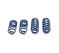 AP FS50-008 Springs 40/30 Civic/CRX Lowering Springs50-008