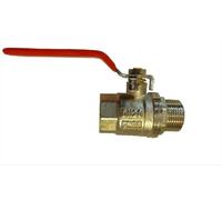 AP Supplies Brass Nickel-Plated Lever Valve 1/2 Bspm-F