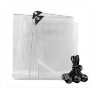 AP Supplies Clear Tarpaulin 4m x 5m, M-Grade, 10 Bungee Balls