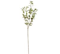 Apac 65cm Artificial Pittosporum Spray - Variegated (Pack of 3), Silk Flowers Perfect for Home Wedding Party Decorations Flower Arrangements
