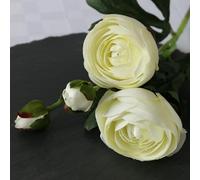 Apac Artificial Ranunculus - Cream, Silk Flowers Perfect for Home Wedding Party Decorations Flower Arrangements