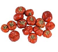 APAC Natural Dried Whole Fruit Mini Pumpkins x 250g