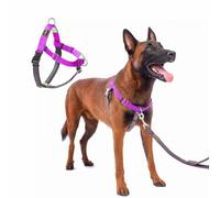 APDEXY Freedom No Pull Dog Harness, Easy Walk with Front Clip, Two Stainless D-Rings, Sewn-in Instructions Tags for Easy Use, for Medium/Large Dogs Weight 40-60 lbs (Purple, Med/Large)