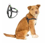 APDEXY Freedom No Pull Dog Harness for Medium Dogs, Easy Walker, Anti Pulling with Two Stainless D-Rings, Comfortable, Sewn-in Instructions Tags for Easy Use (Black, M)