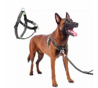 APDEXY No Pull Dog Harness Freedom Walking, Stop Pulling with Two Stainless D-Rings, Comfortable, Sewn-in Instructions Tags for Easy Use (Black, M/L - 1'')