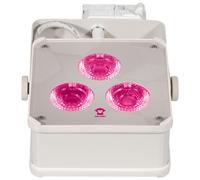 Ape Labs Track Maxi V2 15° RGBWW Creme