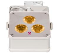 Ape Labs Track Maxi V2 45° RGBWW Creme