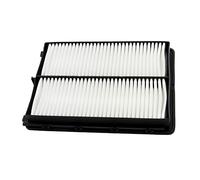 Apeixoto Engine Air Filter Compatible with 19-20 Hyundai Santa Fe, 15-21 Palisade, Santa Fe Sport & Kia Sedona, 20-23 Telluride, 16-20 Sorento with OE CA11943 28113A9100