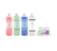 Apera Instruments PH Calibration Solution pH4.01/7.00/10.01 and 3M K ach 250 ml,AI1104