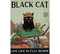 Aperiy Cat Poster-The Blooming Life in The Black Cat Garden, Funny Cat Poster Metal Sign Indoor Outdoor Poster Tin Sign Metal Home Wall Decoration 8x12inch