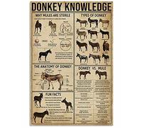 Aperiy Donkey Metal Sign Donkey Knowledge Poster Tin Sign Metal Sign Metal Tin Sign/Metal Plaque