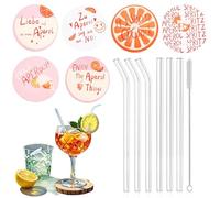 Aperol Spritz Gift Set, Aperol Coaster, Holy Aperoli, Party Accessories for Aperol Cocktails Aperol Straws Glass Aperol Coaster (Style B)