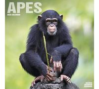 Apes Calendar 2025 Square Animal Wall Calendar - 16 Month 9781804604182 NEW