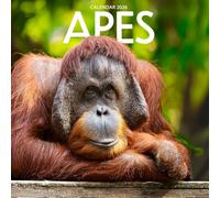 Apes 2026 Calendar: Majestic Primates and Wild Beauty