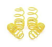Apex 200-2020 Lowering Springs