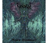 Apex Violator – Vinyl – Avantgarde