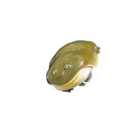 APGLSXY Innovative Animal Themed Protective Sleeve for Dedicated Ensuring Charging and Creative Animal Earphone Cover