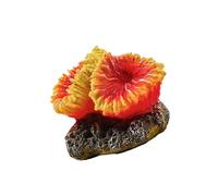 APGLSXY Natural Lookings Corals Reef Landscape Decoration for FishTank Underwater Decors Safe Habitats for Pet Fish Shrimp Simulation Fishtank Landscape Accessory