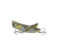 APGLSXY Predators Specific Fishing Lures with 3D Eye and Realistic Artificial Crickets Baits with Hook for Big Strikes Specific Fishing Lures