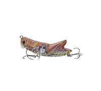 APGLSXY Predators Specific Fishing Lures with 3D Eye and Realistic Artificial Crickets Baits with Hook for Big Strikes Specific Fishing Lures