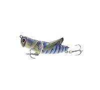 APGLSXY Predators Specific Fishing Lures with 3D Eye and Realistic Artificial Crickets Baits with Hook for Big Strikes Specific Fishing Lures