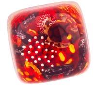 APHAVIN Handmade Resin Artisan Keycap - Coral Reef Ocean Theme with Sea Creatures- 1U ESC Key - Cherry MX Mechanical Keyboard Compatible - 3D Mini Aquarium Design (Turtle-1)