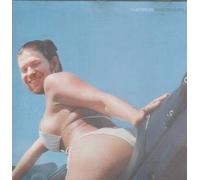 Aphex Twin - Window Licker