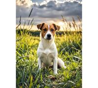 Aphila Diamond Art Jack Russell Terrier 5D Diamond Painting DIY Kits Full Round Drill Beads by Number Mosaic Embroidery Arts and Crafts for Home Wall Living Room Bedroom Decor 12x16 inch