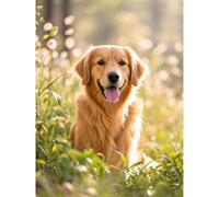 Aphila Golden Retriever Diamond Art 5D Diamond Painting DIY Kits Full Round Drill Rhinestones by Number Mosaic Arts and Crafts for Living Room Home Wall Decor 12x16 inch / 30x40cm