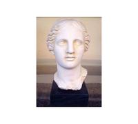 Aphrodite Bust - Goddess Of Love Beauty - Venus