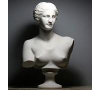 Aphrodite Goddess Venus de Milo Bust Head Gr ast Marble Sculpture 20.8"/53cm