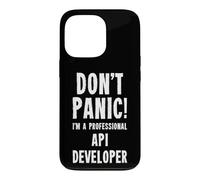 API Developer Case for iPhone 13 Pro