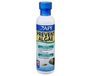 API Liquid Prevent Algae - 118ml